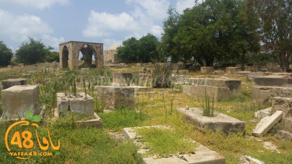 sheikh morad (7).jpg